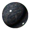 silver paradiso