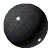 indian impala