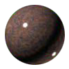 vanga